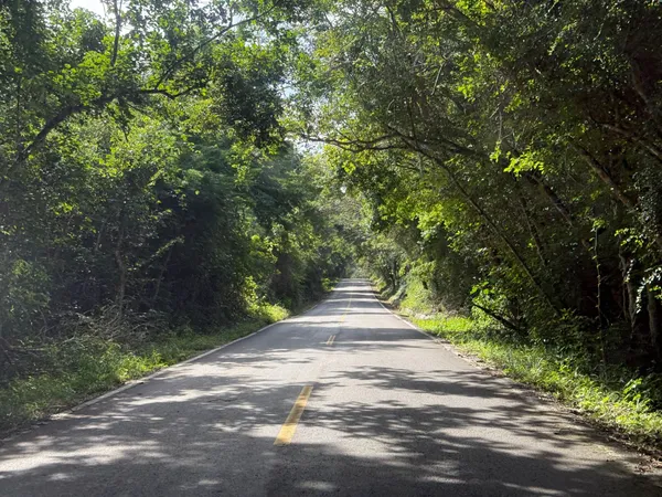 Calakmul: UNESCO pyramidy v srdci pralesa