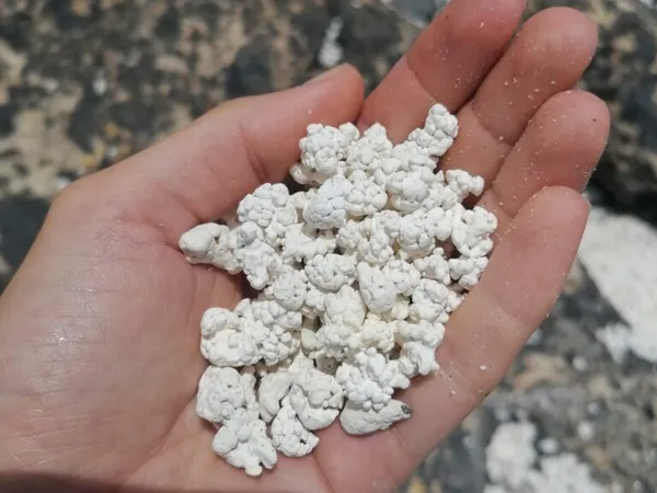 Fuerteventura aktivně: surf, treky a plán podle podmínek