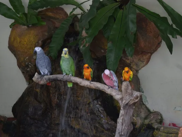 Co vidět v Kuala Lumpur