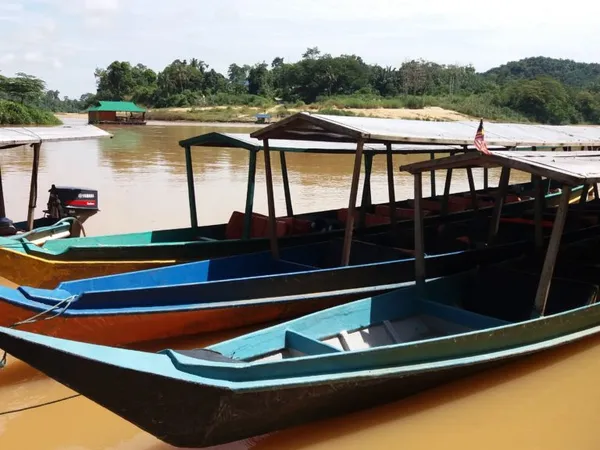 Taman Negara: jak sem dorazit a co čekat